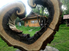 Hidden Garden Kide (Chidea)